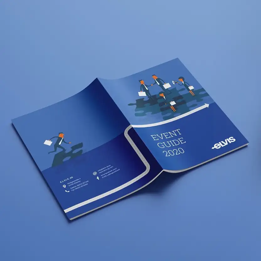Design Broschüre ELVIS AG